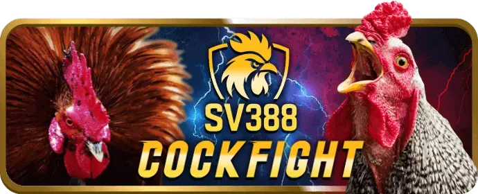Trải nghiệm bigbet88 casino trực tuyến